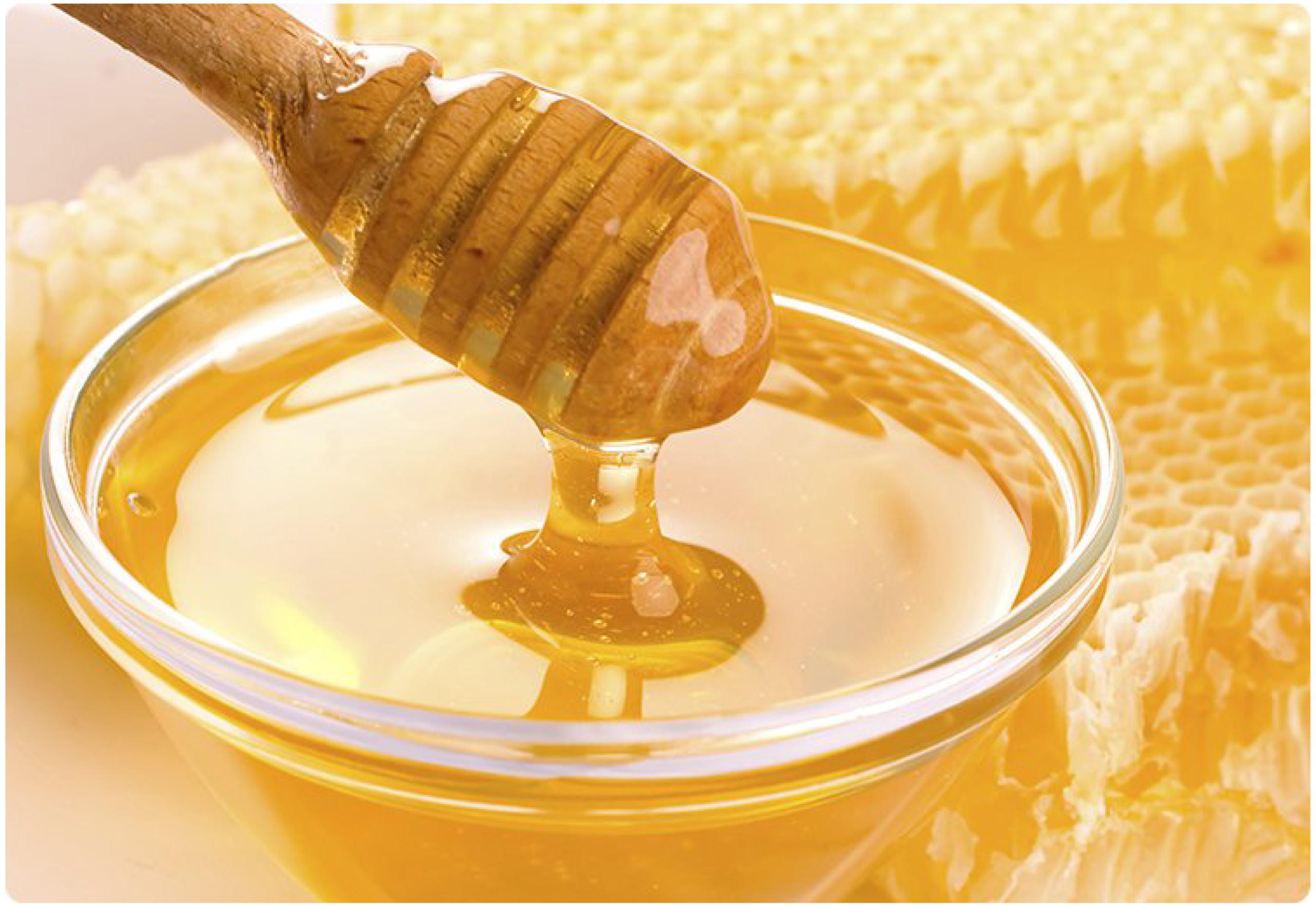 Sidr Faraz Honey